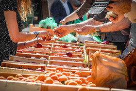 2013 08 (3) web.jpg