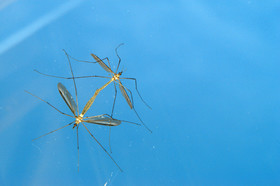 2016 08 (9) web.jpg